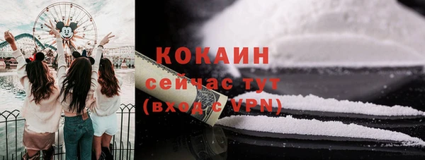 скорость Вяземский