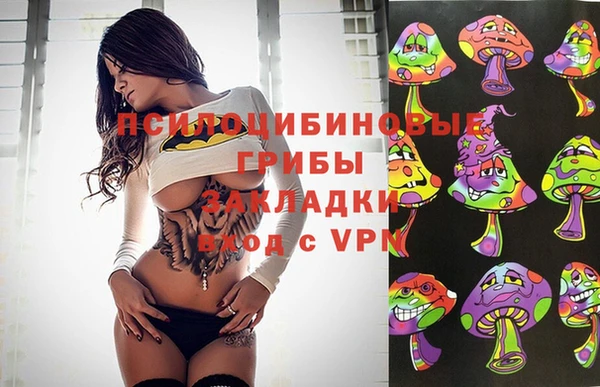хмурый Вязьма