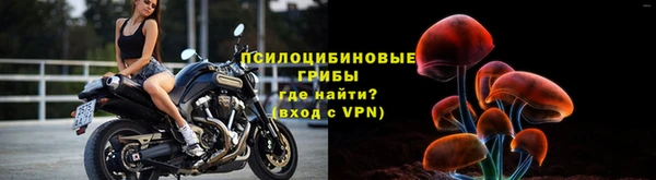 скорость Вяземский