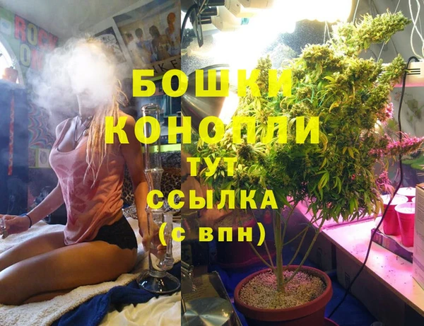 скорость Вяземский