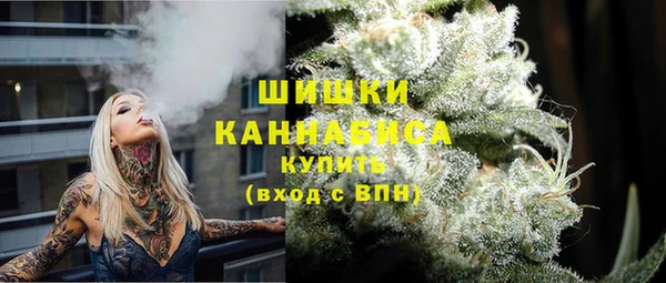 скорость Вяземский