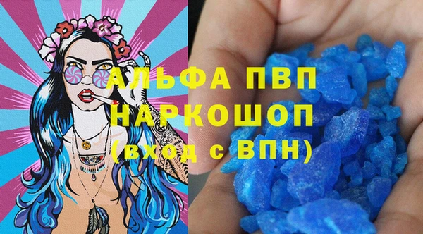 скорость Вяземский