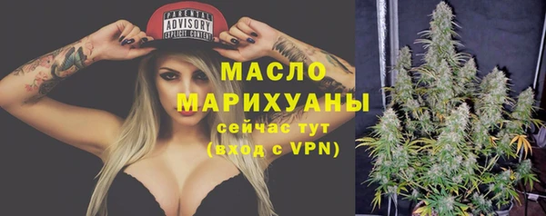 скорость Вяземский