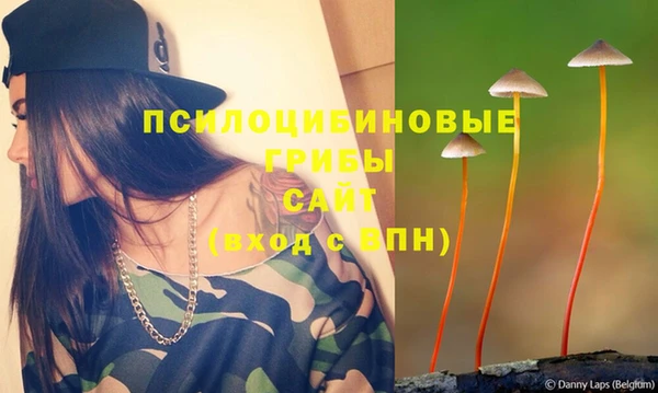 хмурый Вязьма